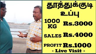 Thoothukudi Salt Whosale Business Plan In Tamil | Investment Rs.3000 Profit Rs.1000 | Eden TV