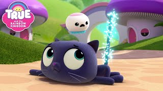 Download lagu Wish Gone Wild & More FULL EPISODES 🌈 True and the Rainbow Kingdom 🌈 mp3