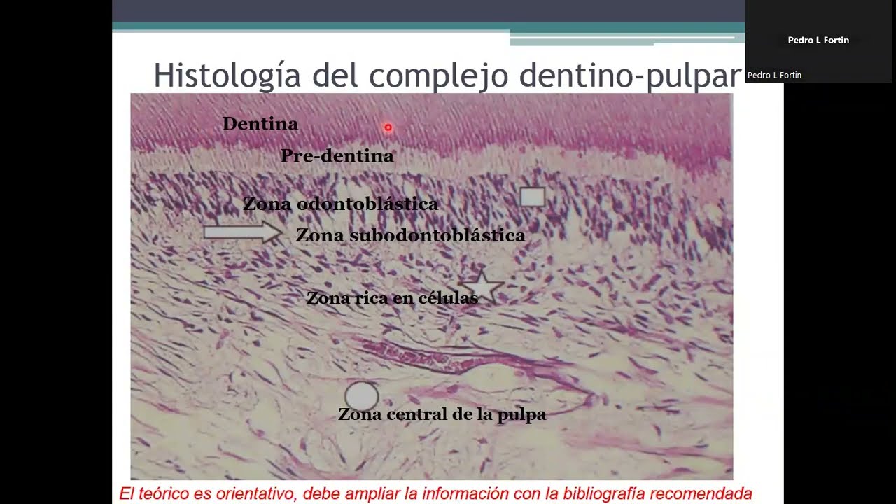 Patología Pulpar. 2023