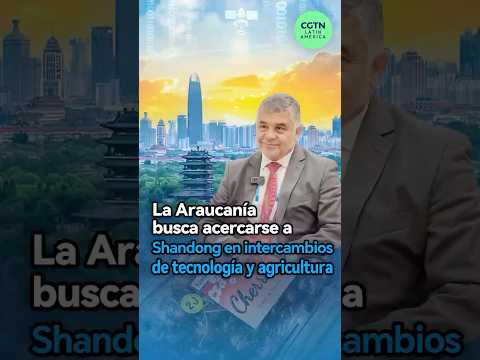 La Araucanía busca acercarse a Shandong en intercambios de tecnología y agricultura