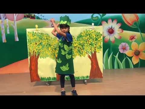 AA02-大崗水保小達人-票選您心目中最棒的水土保持繪本說故事影片！