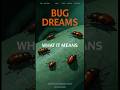 Why You Keep Dreaming About Bugs 🐛 #dreams