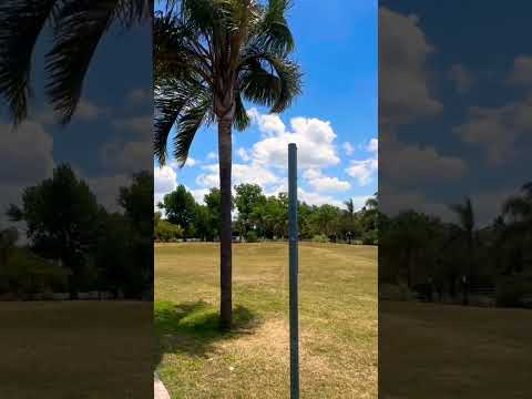 Es una jornada más que maravillosa en la zona de la costanera de #zarate #shorts #buenosaires #tour