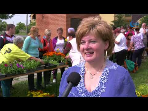 Gyula Tv Híradó 2018. 05. 25.