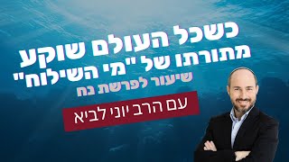 כשכל העולם שוקע / שיעור לפרשת נח מתורתו של "מי השילוח" - הרב יוני לביא (הרב יוני לביא) - התמונה מוצגת ישירות מתוך אתר האינטרנט יוטיוב. זכויות היוצרים בתמונה שייכות ליוצרה. קישור קרדיט למקור התוכן נמצא בתוך דף הסרטון