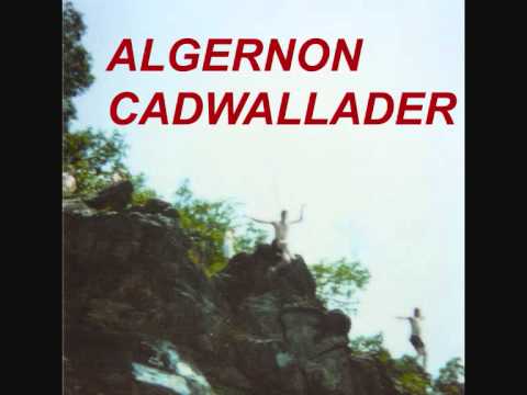 Algernon Cadwallader - Spit Fountain