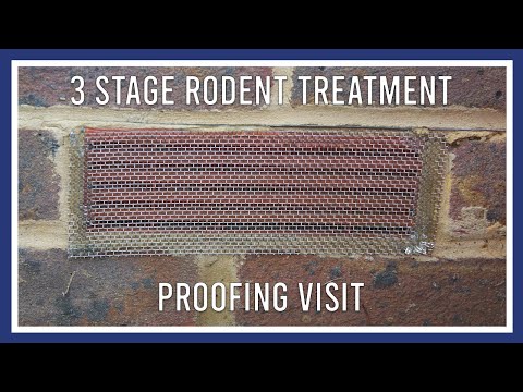 Three stage rodent treatment