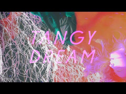 Palm Haze – Tangy Dream (Official Video)
