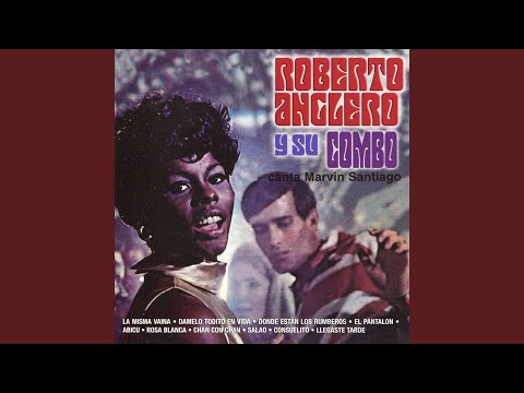 ¿Dónde Están los Rumberos?