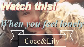 【YouTube-Dog walk in New Zealand】Watch this when you feel lonely #doglover