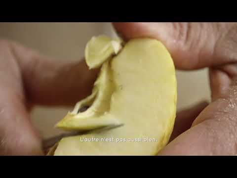 Biais N°4 : Crostada - recette de la croustade (Piget Productions - France Télévisions)