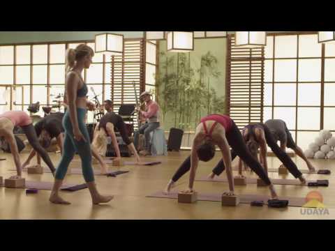 Caley Alyssa, YogAction Pushing & Pulling  | Udaya.com