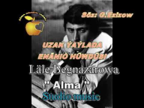 Ene huwdisi: serdarym