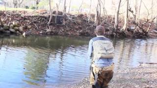 FIW Advertisement (VDGIF trout stocking plan)