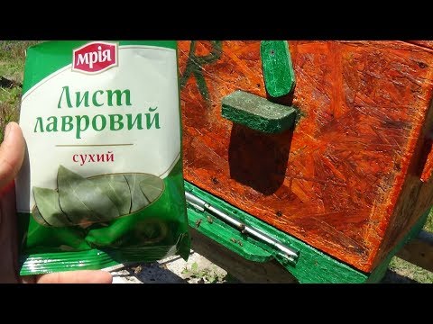 Народная профилактика против моли ЛЛ на пасеке