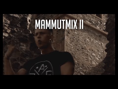 MAMMUTMIX II - Rapido