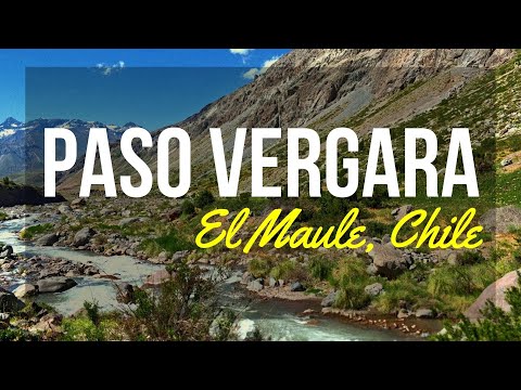 Paso Vergara, Curicó, El Maule - Chile 2025