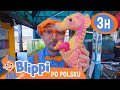 Blippi Spotyka Morskie Stworzenia Blippi Po Polsku Nauka I Zabawa Dla Dzieci