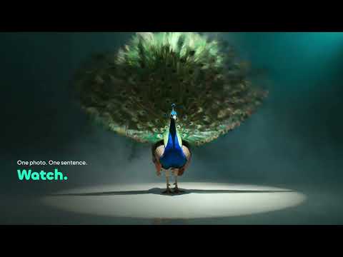 Motiofy video preview