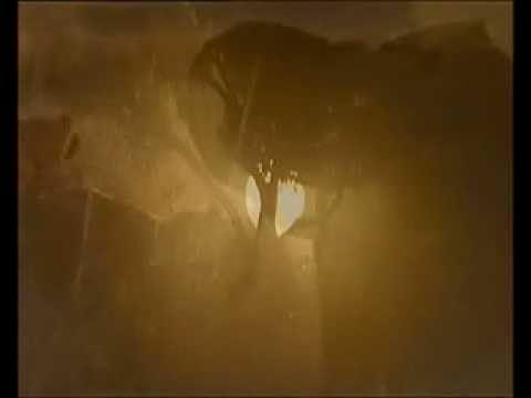 Ultimate Enemies - Lions and Elephants