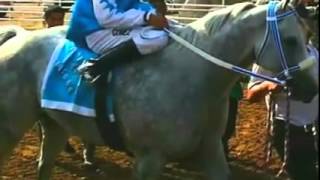 El Corrido Del Nuevo Comandante