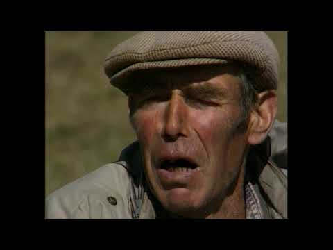 Apači - "The Apaches" - film director Miroslav Nikolic