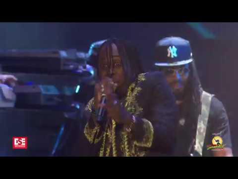 Unknown Gringo - Reggae Sumfest 2019