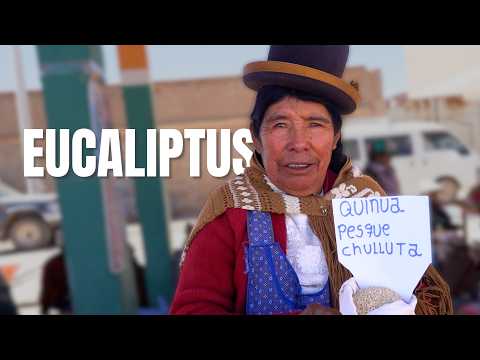 EUCALIPTUS | El Chef Sin Fronteras