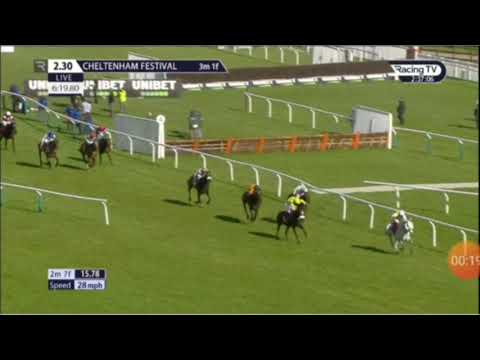 Cheltenham Festival 2021 Day 1 - All Finishes