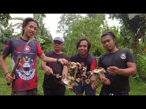 SE02EP81 - MINSAN sa ISANG TAON | Pag HAHANAP ng KABUTE - Buhay Probinsya | San Pablo City, Laguna