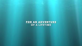 PSFL Marlin Video Released