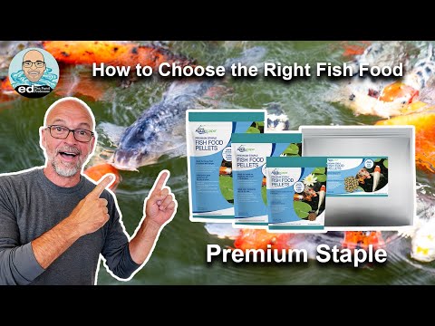 Aquascape Premium Fish Food Overview