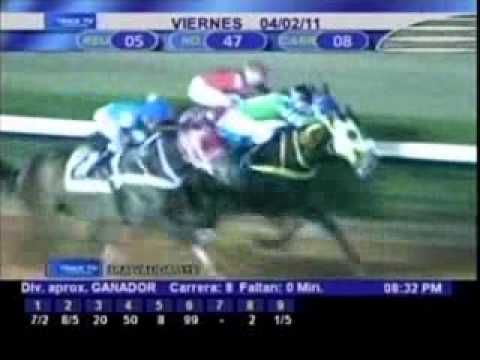 Resumen viernes 5 de febrero 2011 - La Rinconada