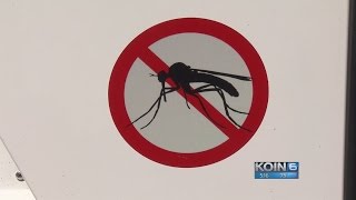 Hot town, summer in the city: Mosquitoes arrive