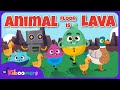 THE KIBOOMERS Floor Is Lava Animal Dance Preschool Fun