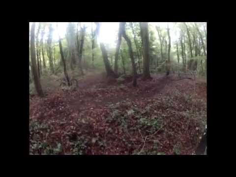 Whip The Wood ! (Downhill)