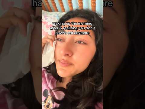 pet grief is real, i miss my cat so much