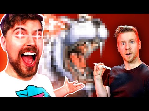 I took MR BEAST to the Next Level!