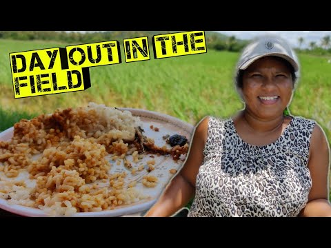 WHEN LOCKDOWN LANDED US IN THE FIELDS| Day out in fields | AmchemGoa | Nazima Barreto