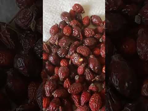 Шиповник плод (1 кг) - фото 1 - id-p2362936534