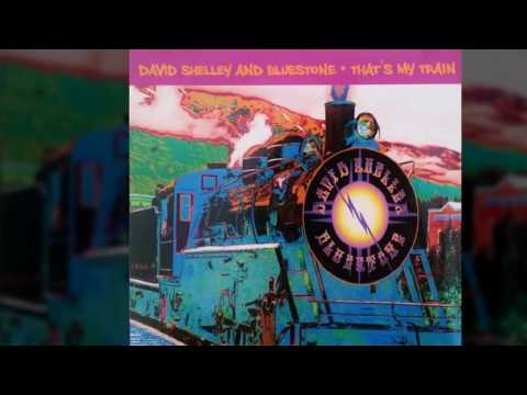 David Shelley & Bluestone - Living With The Blues