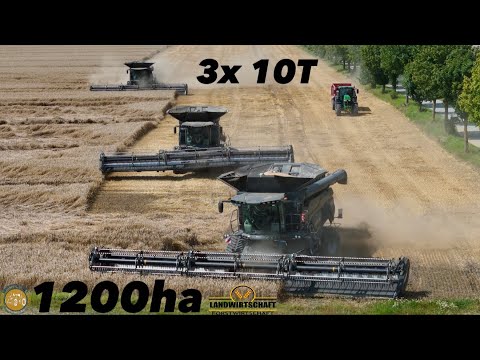 So schaffen wir es dem Regen! 1200ha Getreide mit 3 Großmähdrescher Fendt IDEAL 10T Landwirtschaft