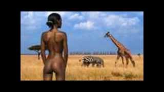 Habib Koite & Bamada- Africa