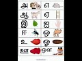 Tamil Letters By 20 Months Baby Shorts