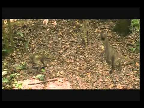 Thumbnail of the video: Chased By Dinosaurs Trailer