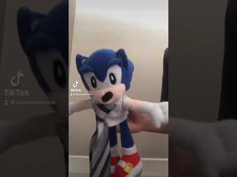 Ready Or Not TikTok Dance | Ft: Sonic The JockHog | Kumio TikToks |