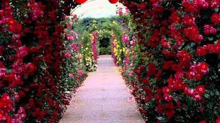 I Will Always Love You - Kenny Rogers &amp; Beegees