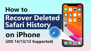 How to Find & Recover Deleted Safari History on iPhone? iOS 17/16/15 Supported