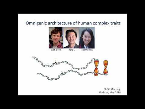 Pritchard: Omnigenic Architecture of Human Complex Traits
