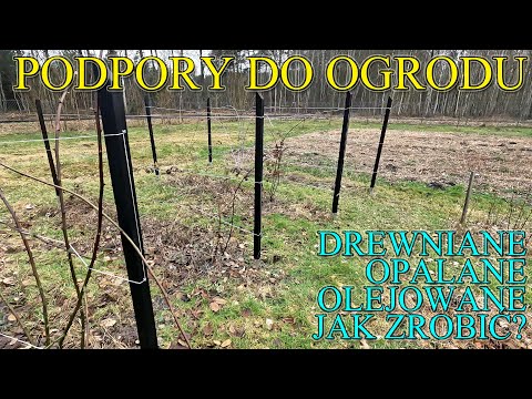 Podpory do ogrodu. Drewniane, opalane i olejowane. Jak zrobić i zabezpieczyć?